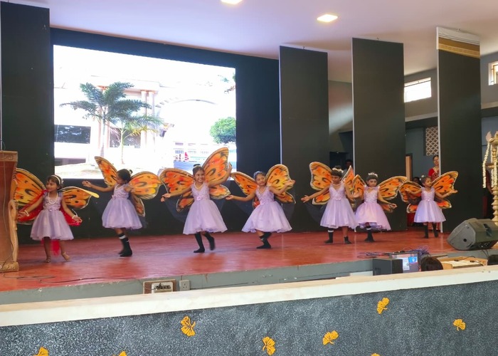 Video Image